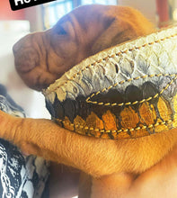 Load image into Gallery viewer, World Famous Pitbull LEATHER COLLARS.