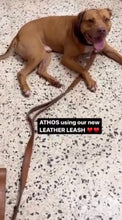 Load image into Gallery viewer, Warrior Leather Leash