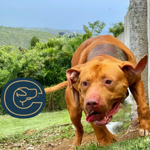 Load image into Gallery viewer, Awesome Ronin